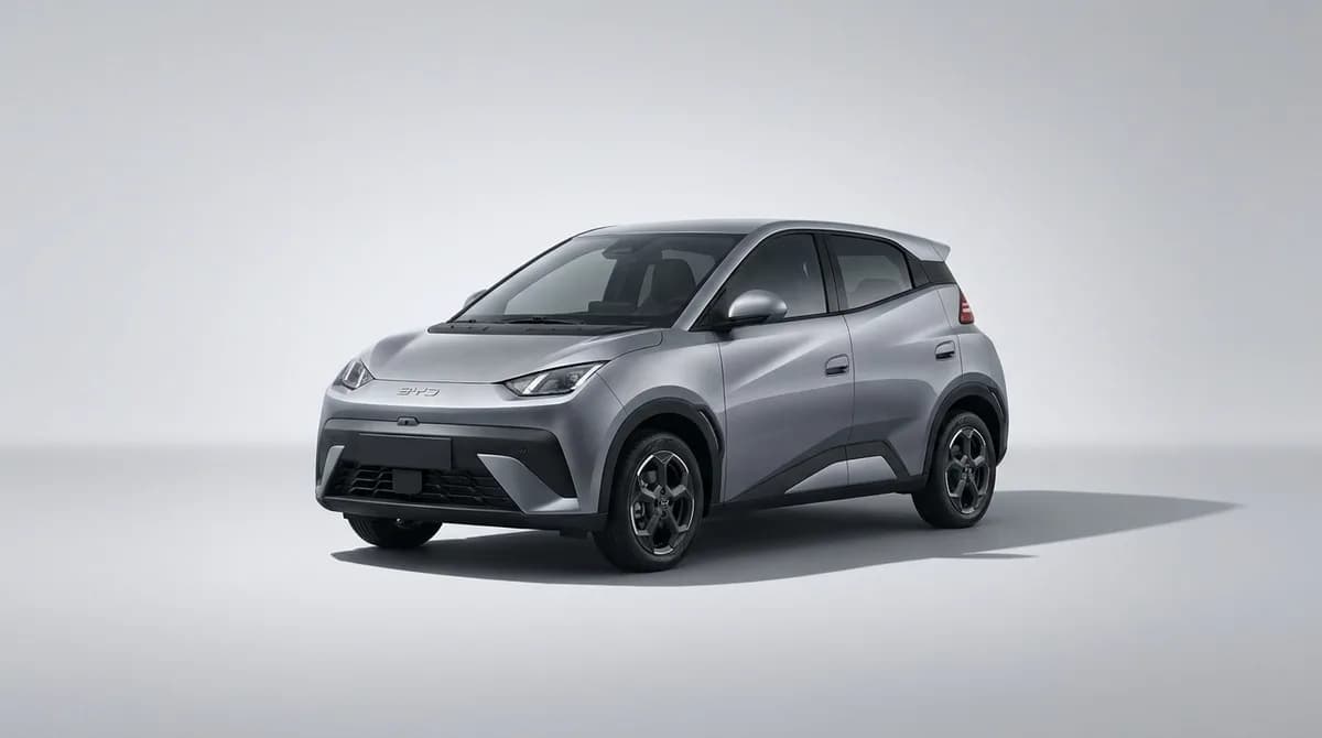 BYD Dolphin Surf